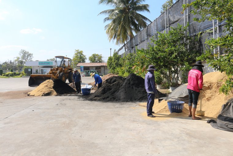 ขั้นตอนการเตรียมดินปลูกผักในกระถางและการเตรียมโรงเรือนเพาะเห็ด