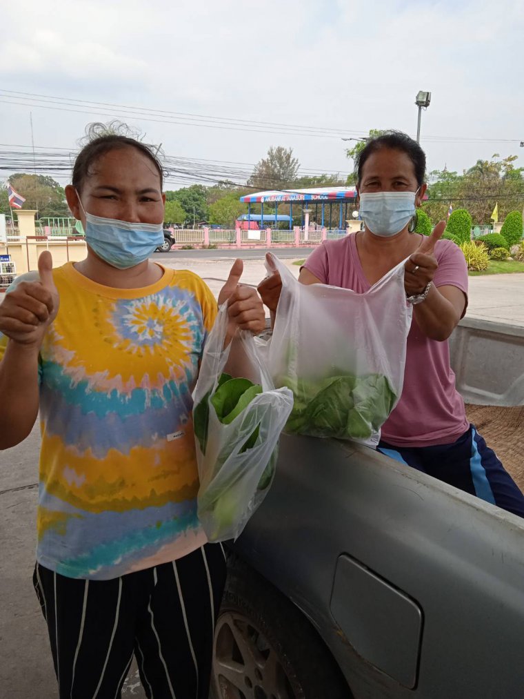 ภาพกิจกรรมแจกผักสวนครัวให้กับสมาชิกและลูกค้า